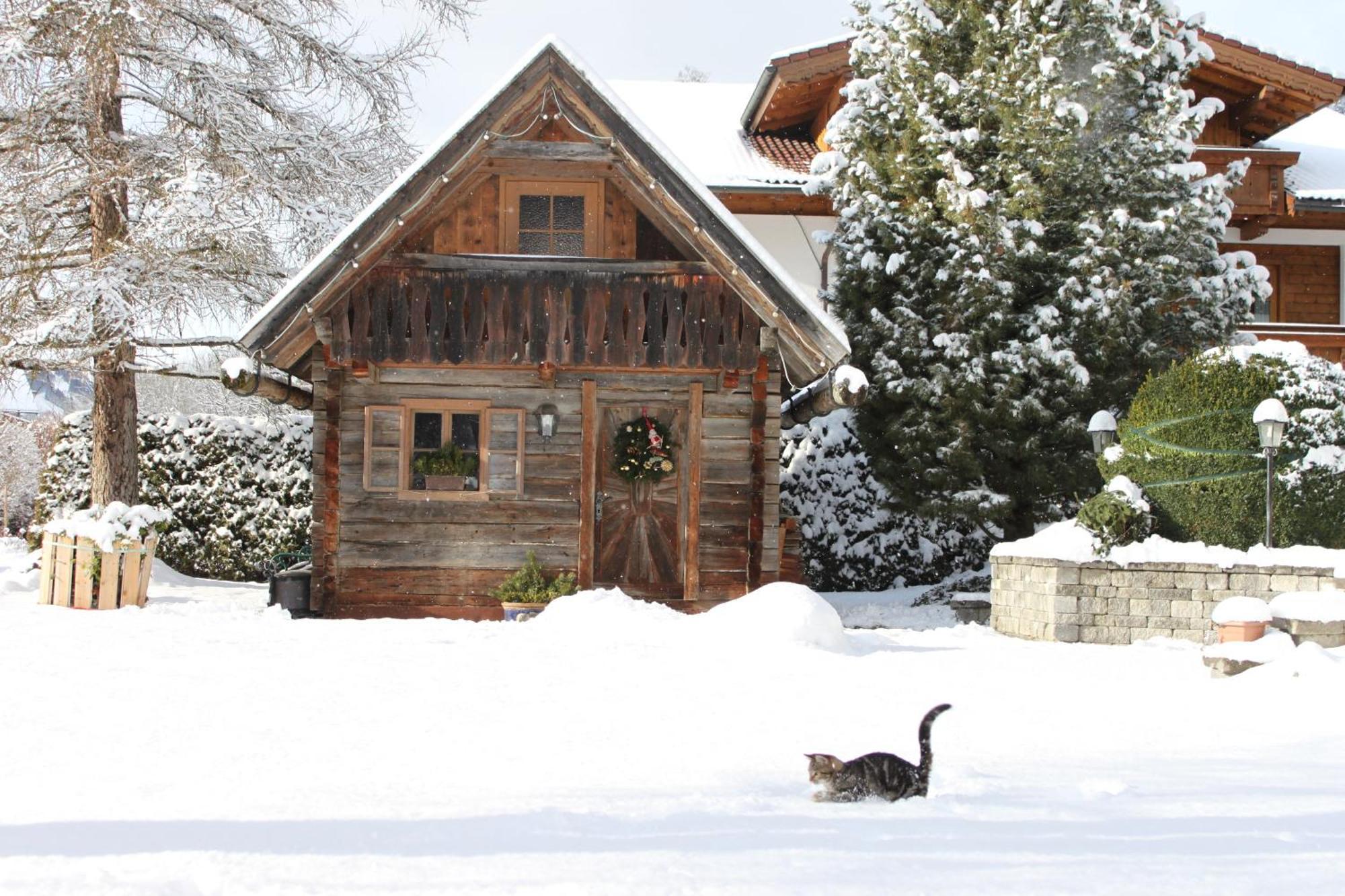Haus Alexander Hotel Schladming Bagian luar foto